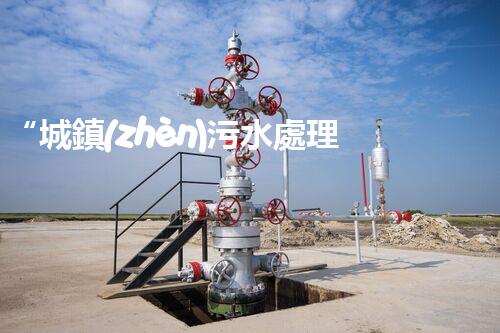 “城鎮(zhèn)污水處理價格合理，助力環(huán)保事業(yè)綠色進展”
